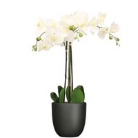 Orchidee kunstplant wit - 75 cm - inclusief bloempot zwart mat