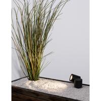Lyora PrikspotFocus antraciet - 9279111