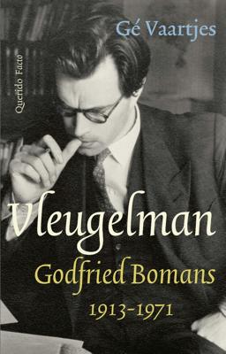 Vleugelman - Gé Vaartjes - ebook