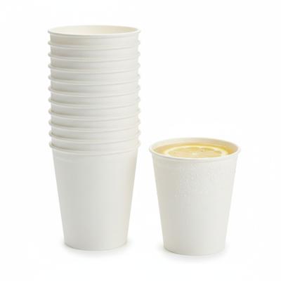 Koffiebekers wegwerp - 24x stuks - wit - 275 ml - bagasse suikerrietvezel - duurzaam - bewuste keuze