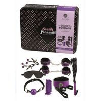 Secret Play - Bondage Kit in Discrete Metallic Box Paars