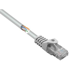 Renkforce RF-5047508 RJ45 Netwerkkabel, patchkabel CAT 5e U/UTP 0.50 m Grijs Snagless 1 stuk(s)