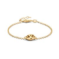 Armband Jasseronschakel zilver goudkleurig 2 mm 16-19 cm Armband Jasseronschakel zilver goudkleurig 2 mm 16-19 cm
