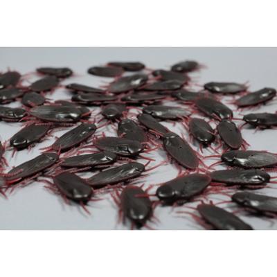 10x stuks Nep ongedierte kakkerlakken - Fun/fop artikelen - Nep ongedierte - Halloween decoratie 10x stuks Nep ongedierte kakkerlakken - Fun/fop artikelen - Nep ongedierte - Halloween decoratie