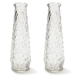 Set van 2x stuks bloemenvaas/bloemenvazen 6 x 22 cm transparant glas - Vazen