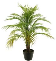 Areca palm in pot green 90cm - thumbnail