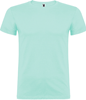 Roly RY6554 Beagle T-Shirt - Mint 98 - XXL