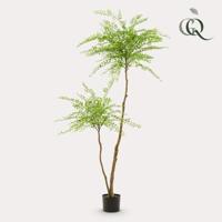 kunstplant - Sophora tree - Honingboom - 190cm kunstplant - Sophora tree - Honingboom - 190cm