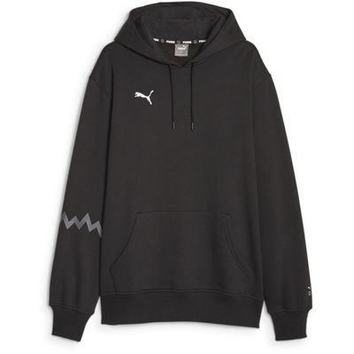 Puma Hoops Team Hoodie