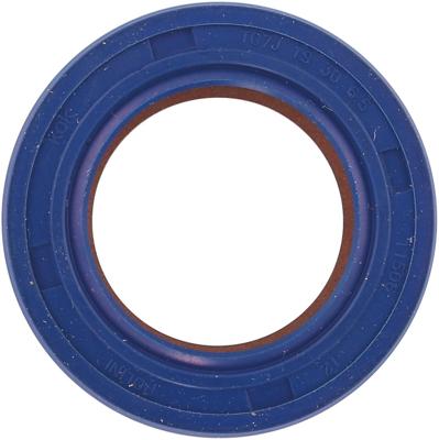 Polini Simmerrings 19x30x6.5 teflon/viton