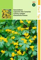 Zaden Tropaeolum Kanariekers geel Hortitops - Hortitops