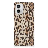 Motorola Moto G73 | TPU Hoesje | Leopard