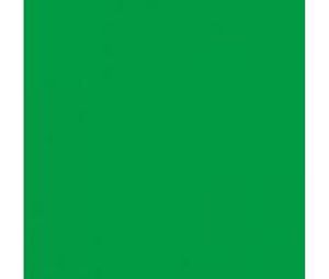 Kamera Express BG-4X6-CK 4,0x6,0m chromakey groen