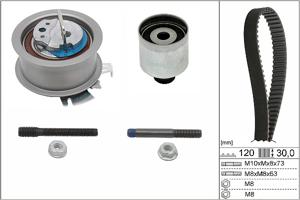 Distributieriemset INA, u.a. für VW, Ford, Seat, Skoda, Audi