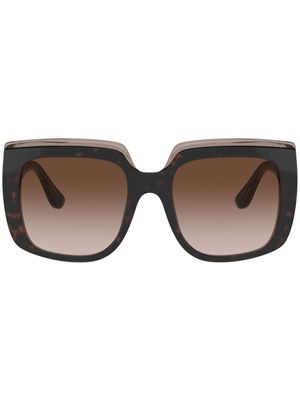 Dolce & Gabbana Eyewear lunettes de soleil à monture carrée - Marron