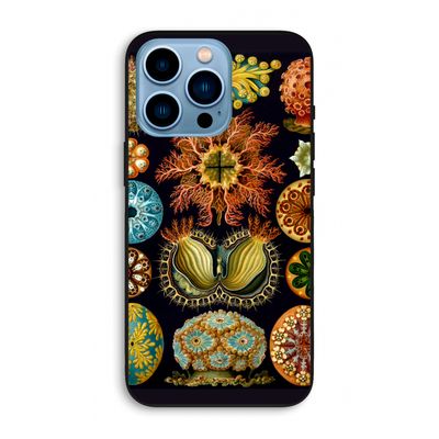 Haeckel Ascidiae: iPhone 13 Pro Max Biologisch afbreekbaar hoesje