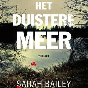 Het duistere meer