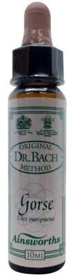 Ainsworths Gorse Bach 10 Milliliter Ainsworths Gorse Bach 10 Milliliter