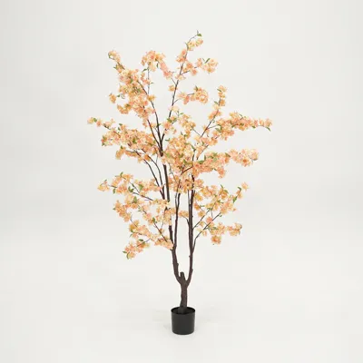 Kersenbloesemboom h210cm perzik