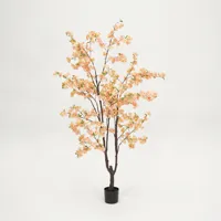 Kersenbloesemboom h210cm perzik