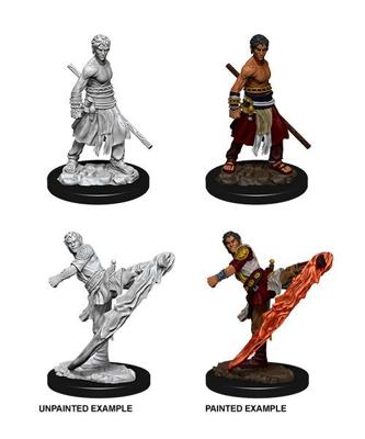 D&D Nolzur's Marvelous Miniatures Unpainted Miniatures Male Half-Elf Monk Case (6) D&D Nolzur's Marvelous Miniatures Unpainted Miniatures Male Half-Elf Monk Case (6)