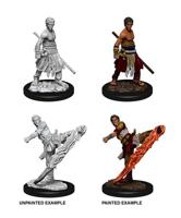 D&D Nolzur's Marvelous Miniatures Unpainted Miniatures Male Half-Elf Monk Case (6) - thumbnail