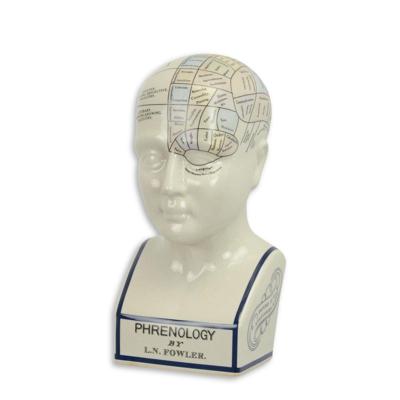 A PORCELAIN PHRENOLOGY HEAD / COLOURED
