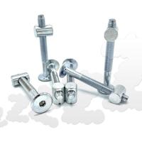 Lifetime montage bouten incl. moer (6 stuks).