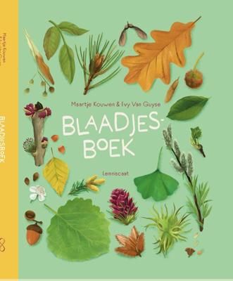 Blaadjesboek (Hardback)
