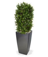 Buxus kolom deluxe kunstplant 90cm