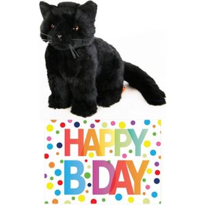 Cadeau setje pluche zwarte kat/poes knuffel 20 cm met Happy Birthday wenskaart   -