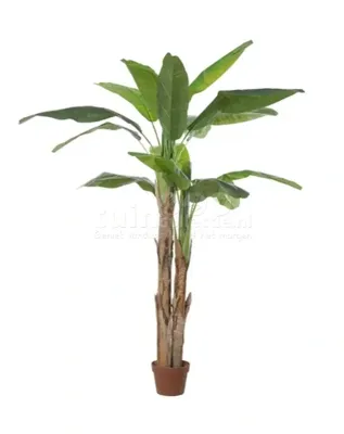 Kunstplant Bananenboom 170cm