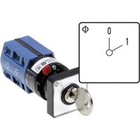 Kraus & Naimer CG4.A200.*FS2.DE21 Lastscheidingsschakelaar 10 A 1 x 60 ° Grijs, Zwart 1 stuk(s)