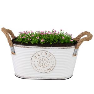 Plantenpot/bloempot teil voor buiten - zink - ivoorwit - L24 x D14 x H12 cm