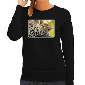 Dieren sweater / trui met jaguars foto zwart voor dames