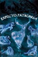Poster Harry Potter Patronus 61x91,5cm