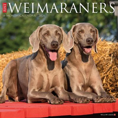 Weimaraner Kalender 2026 Weimaraner Kalender 2026
