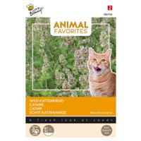 Tuinplus - Animal favorites kattenkruid - katten tuinzaden