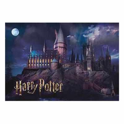 Harry Potter Hogwarts Puzzel 50 stuks