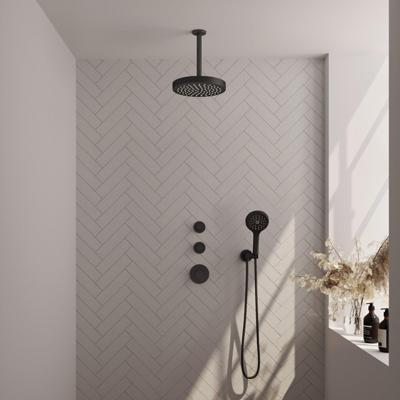 BRAUER Stripe Thermostatische Inbouw Regendouche - SET 06 - 25cm douchekop - plafondarm - 3-standen handdouche - doucheslang - wandaansluitbocht - mat zwart 5-S-375