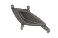 Ventilatiegrille, bumper 5513003171922P