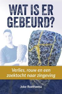 Wat is er gebeurd? - Joke Roelfsema - Paperback (9789493198463)