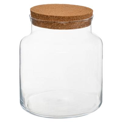 Pot/vaas van glas voor planten ecosysteem - deksel kurk- D18 x H21 cm - terrarium