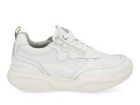 Xsensible SWX21 32005.3 101 white Wit maat 38