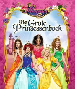 Het grote prinssesenboek