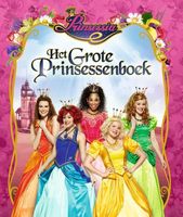 Het grote prinssesenboek