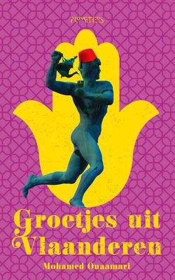 Groetjes uit Vlaanderen - Mohamed Ouaamari - ebook