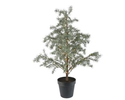 Mini boom prelit d60h120 cm groen/wit - Everlands