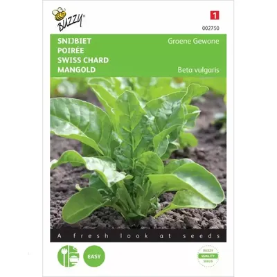 Snijbiet Groene Gewone
