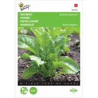 Snijbiet Groene Gewone